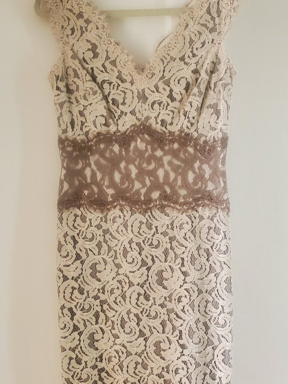 Tadashi Shoji Lace V-Neck Figure-Flattering Sheath Dress | Size 6 - Picture 4 of 10